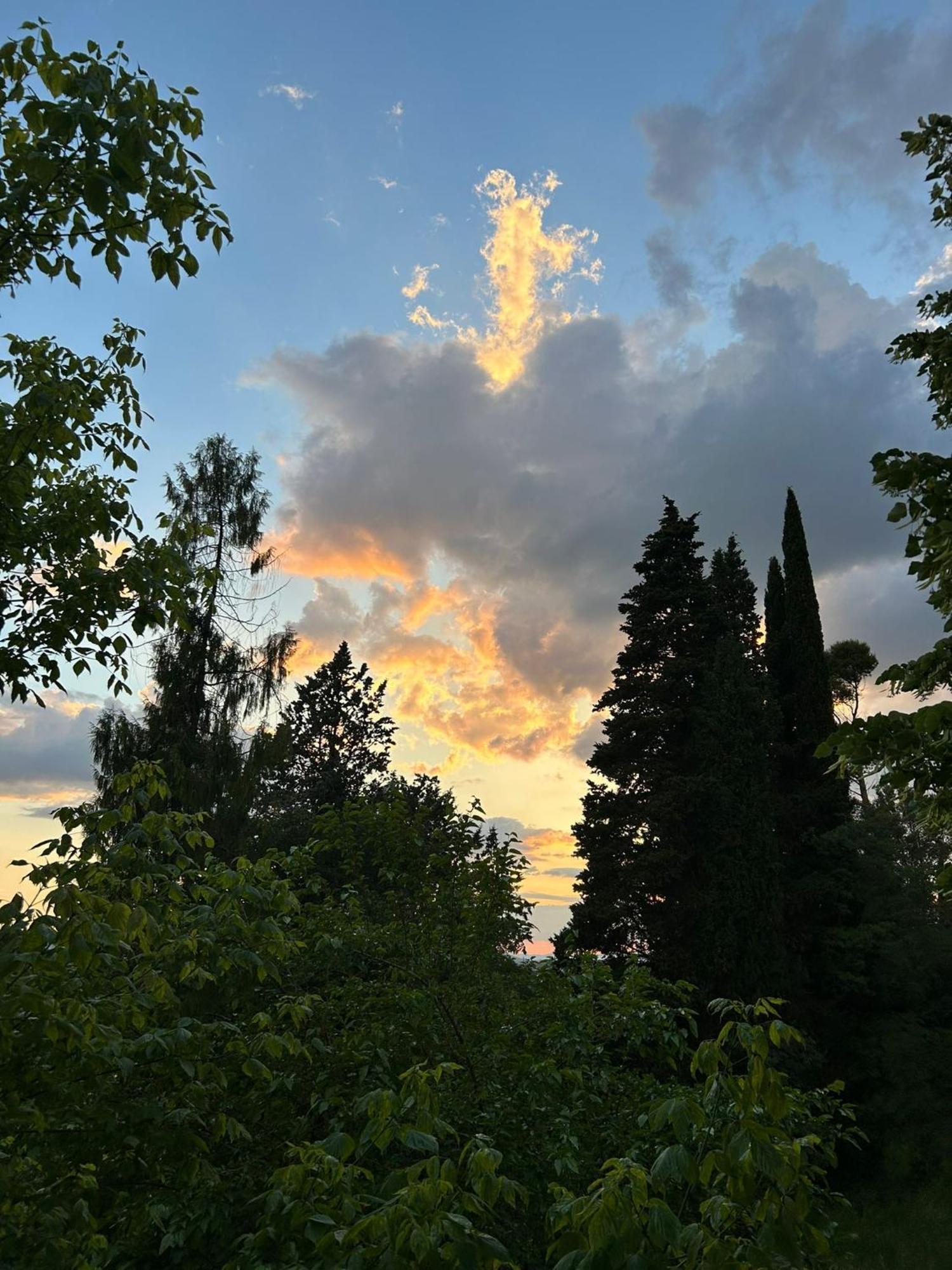 Villa San Filippo Arezzo Bagian luar foto
